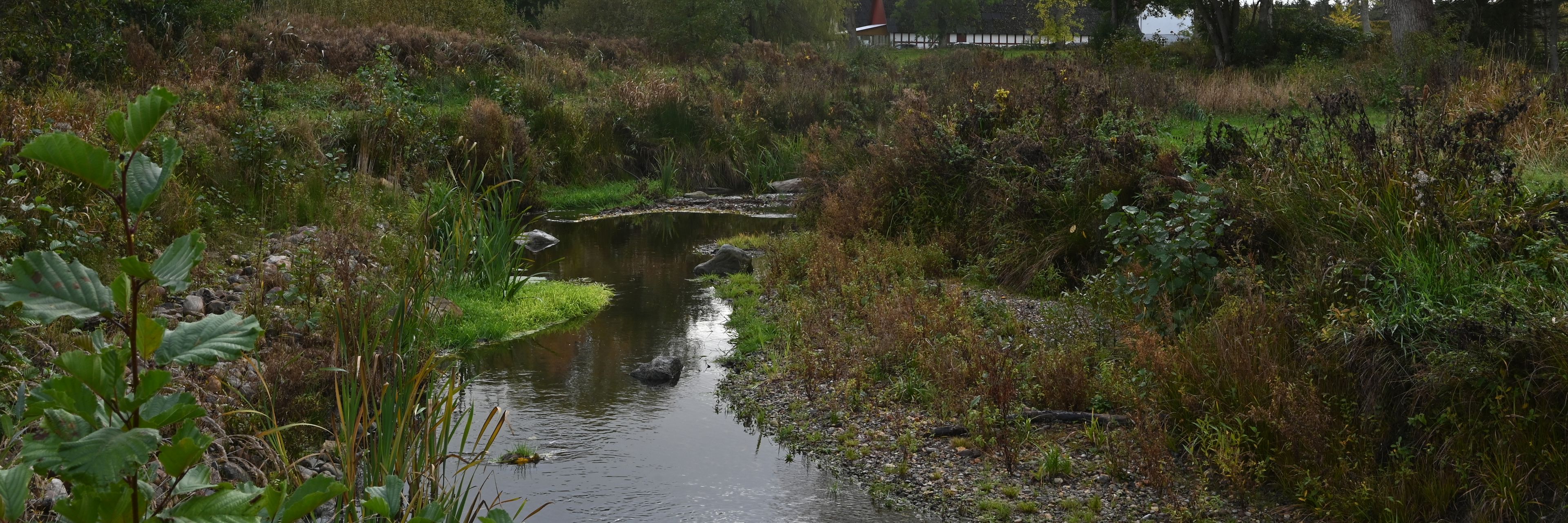 I forgrunden et lavvandet vandløb og i baggrunden en rød/hvid bindingsgsværksgård. Mange træer i kanterne