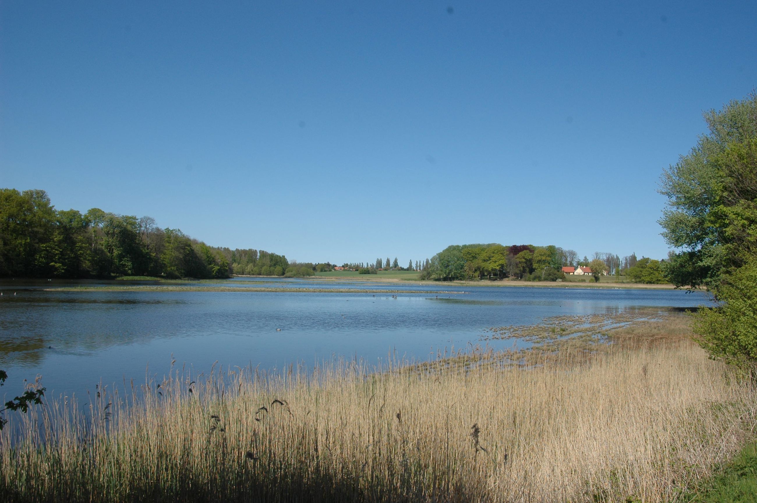 Vådområde ved Valdemars Slot