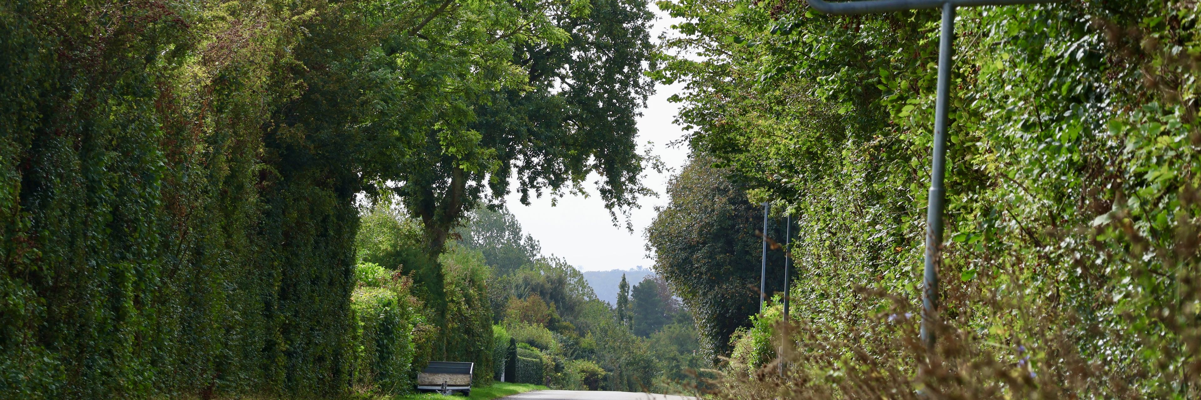 Højensvej ved Rantzausminde, lige før byskiltet