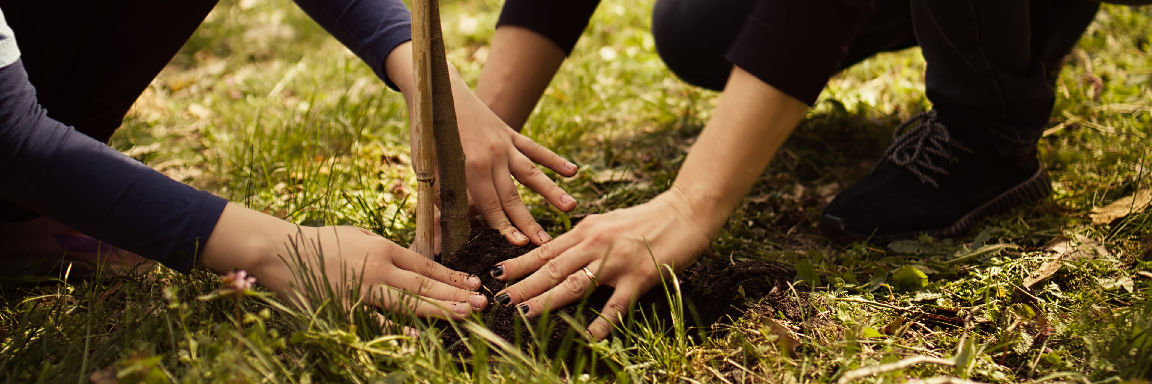 Kvinder træner i naturen