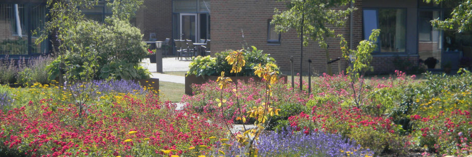 Haven bag Stenstrup Plejecenter