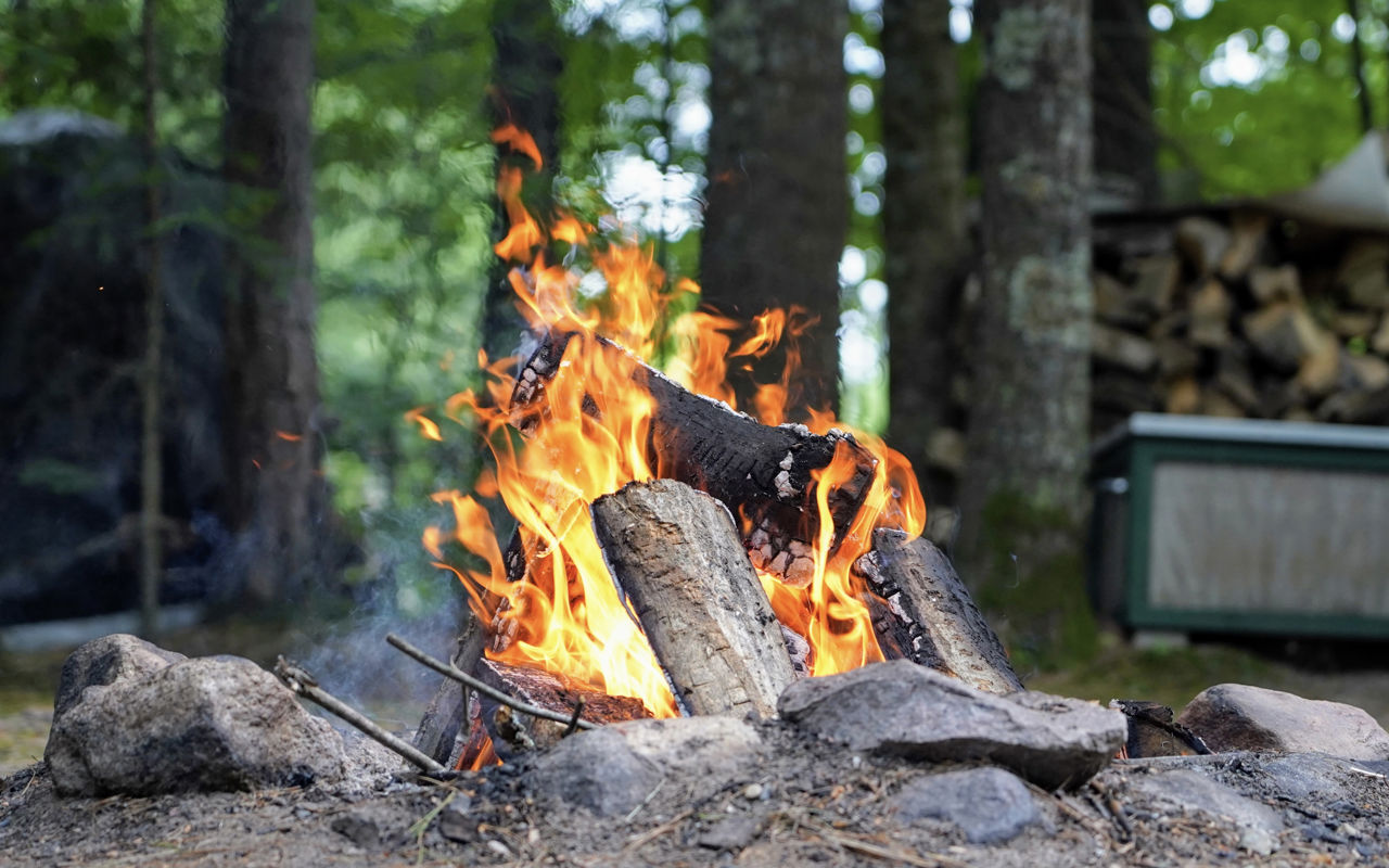 Bål med ild i skoven