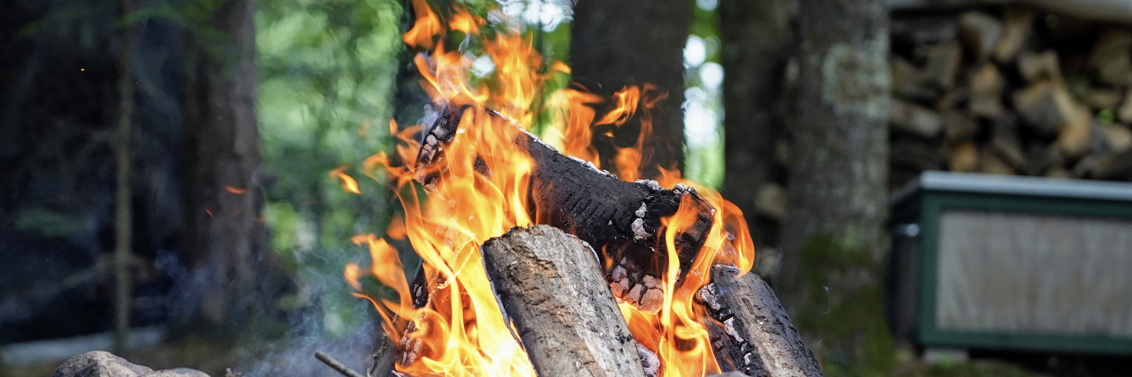 Bål med ild i skoven