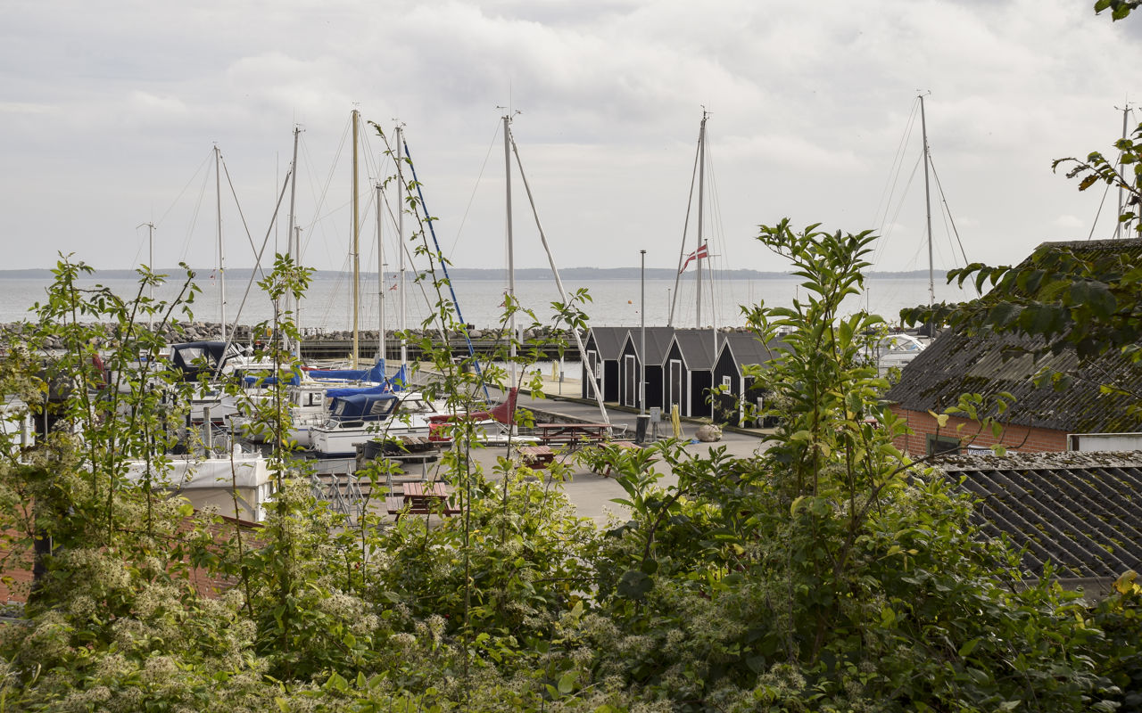 Kig gennem grønne buske ned til en lystbådhavn med både og små fiskerhuse