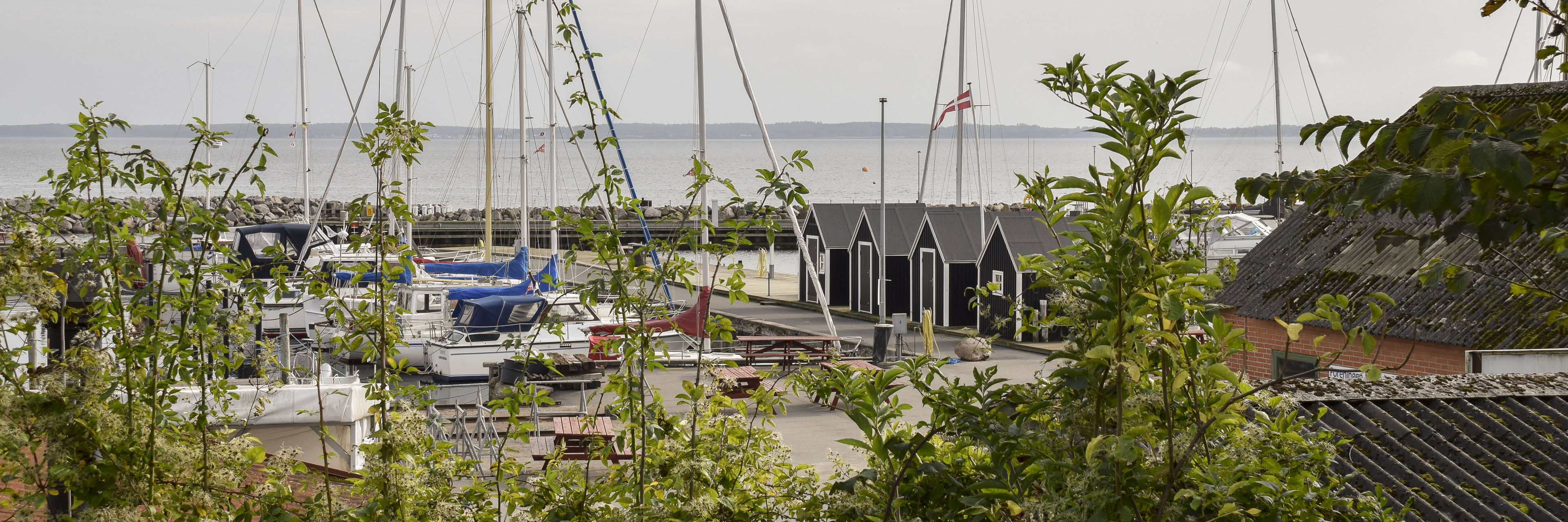 Kig gennem grønne buske ned til en lystbådhavn med både og små fiskerhuse
