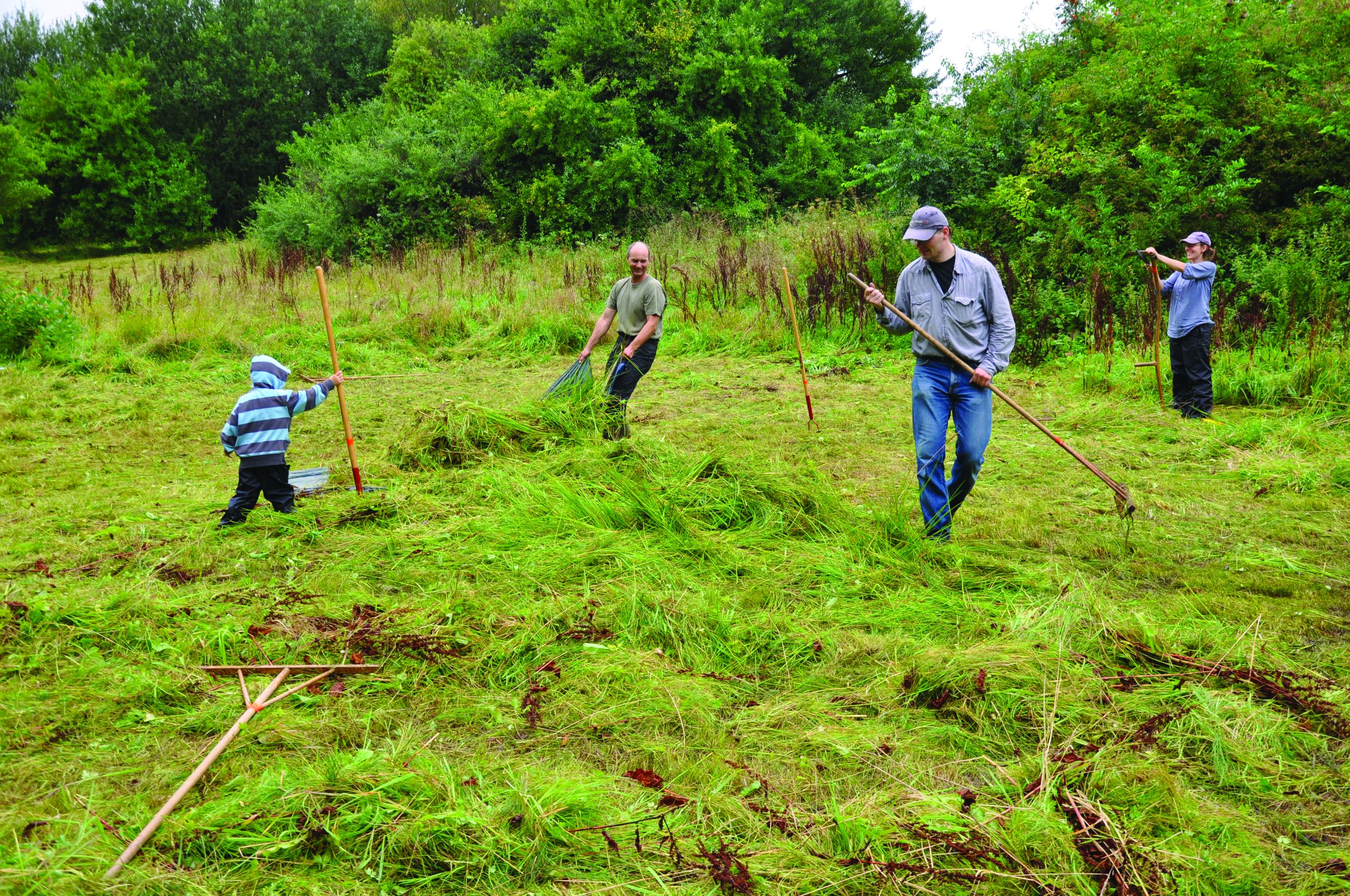 Høslet på Trappebæksengen