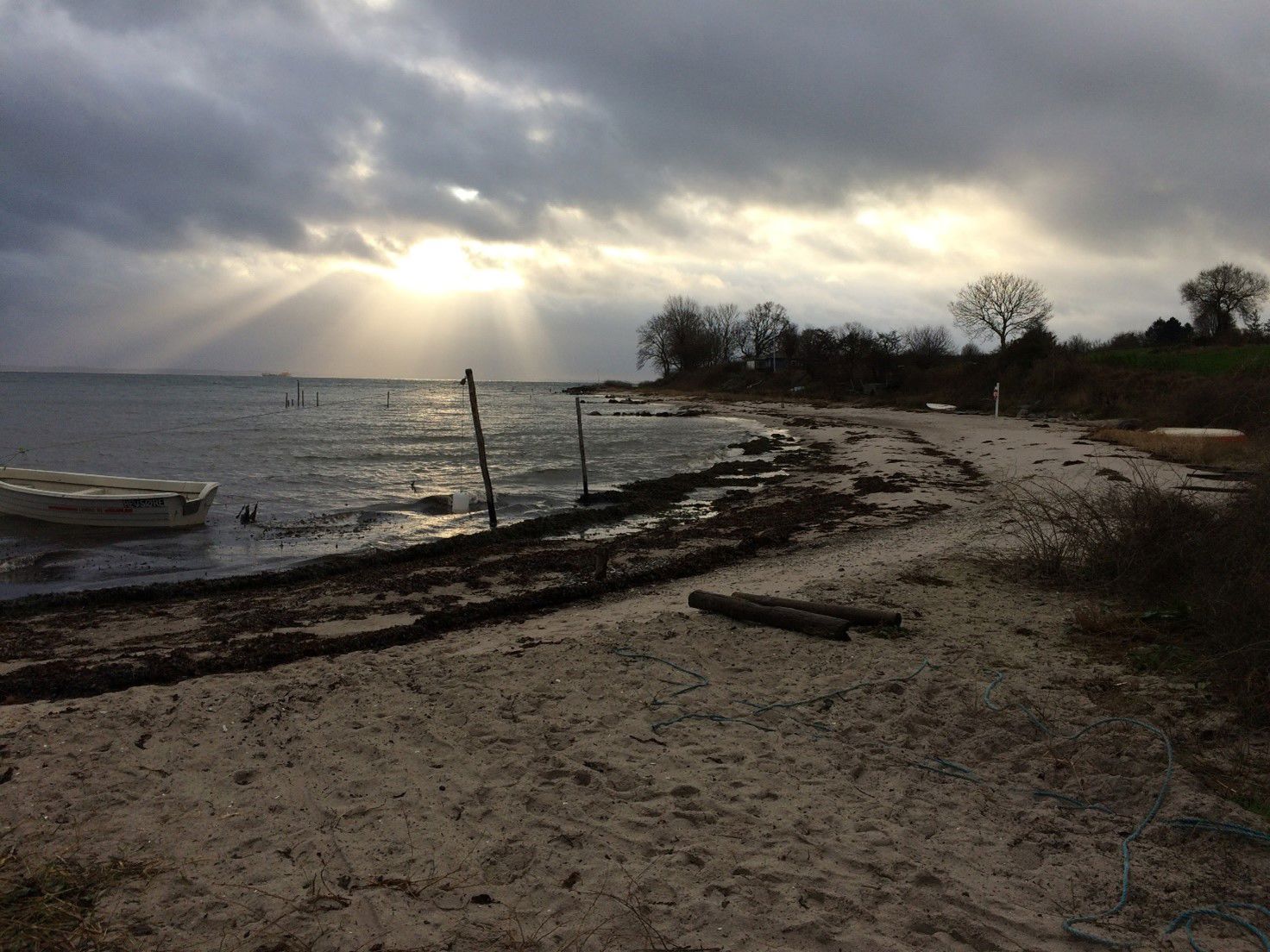 Det meste af stranden fra Revsøre til Bøsøre er fin sandstrand. Havbunden er af fint sand med spredte, mindre sten og lidt tang imellem revlerne.