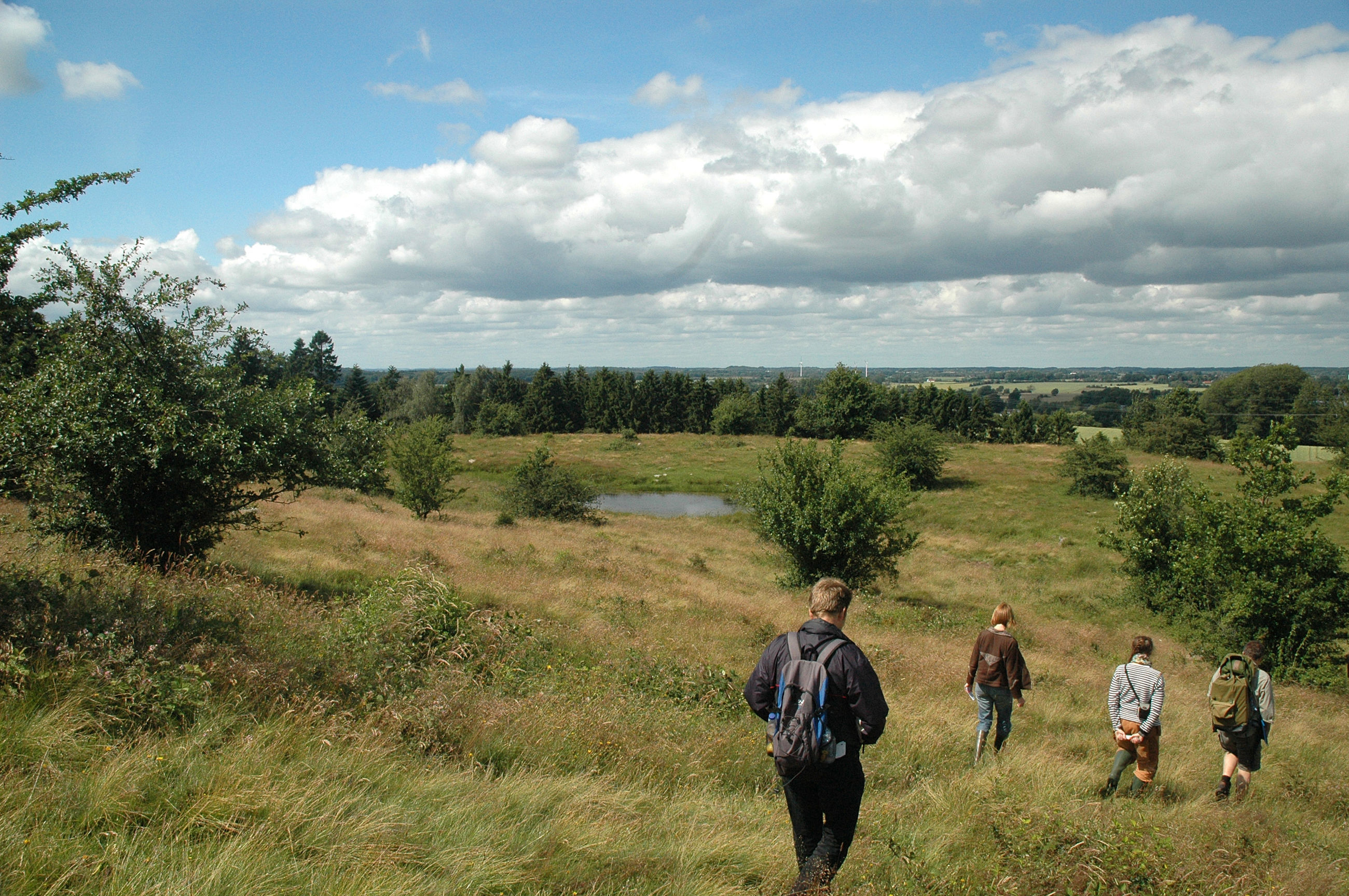 Rødme Svinehaver har aldrig været opdyrket. Græsning gennem flere hundrede år har skabt det artsrige overdrev.