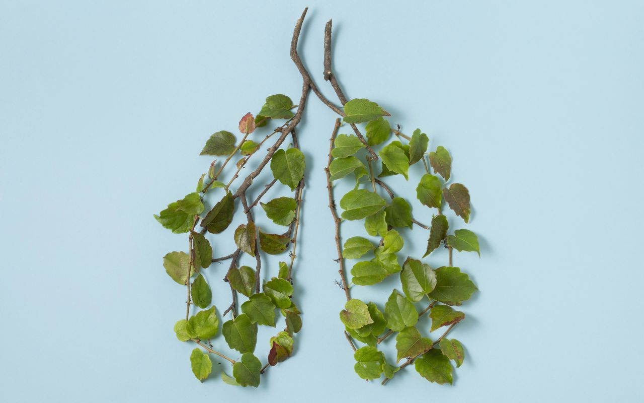 To grene med grønne blade på - formet som lunger