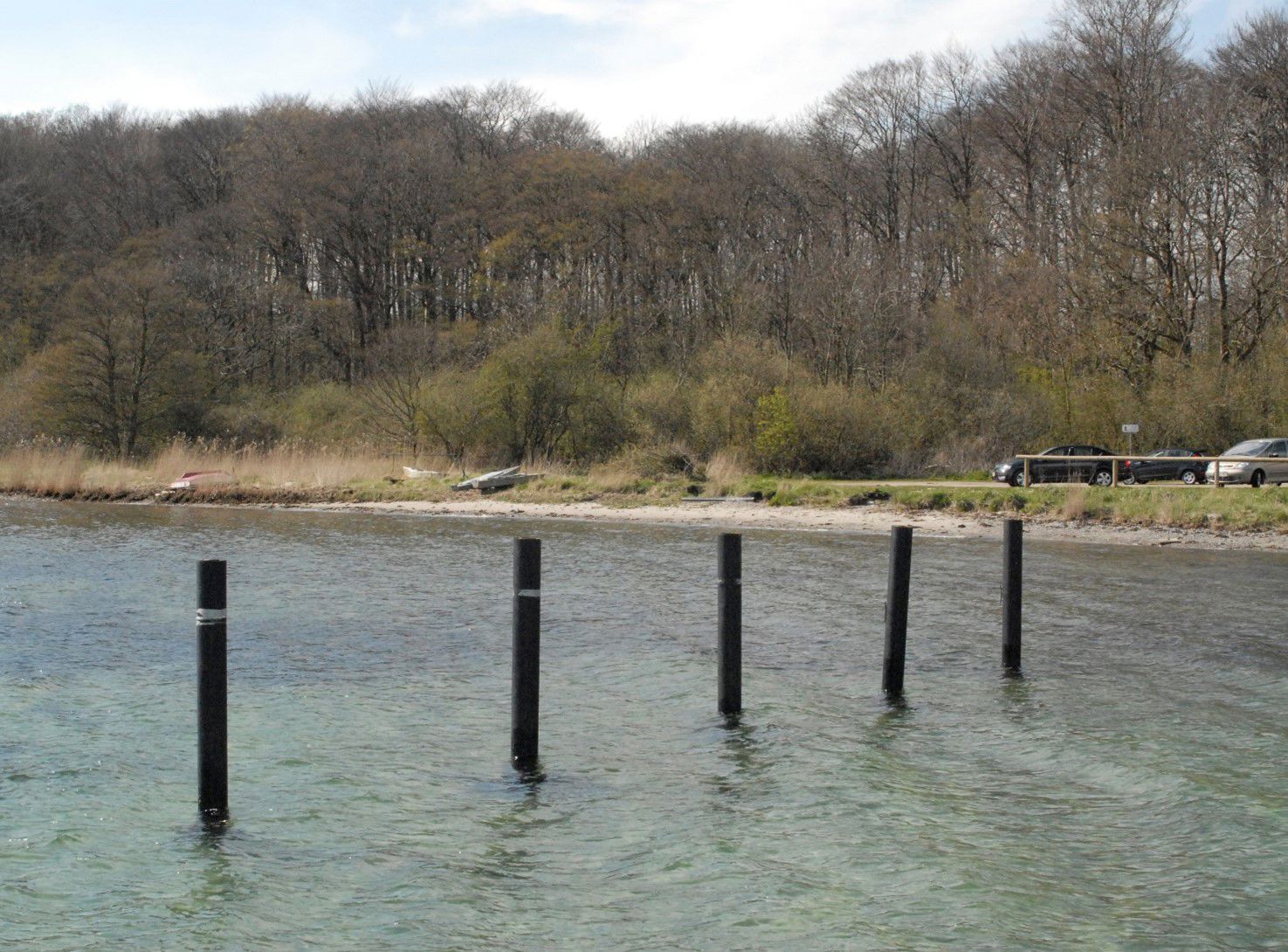 Stranden neden for skoven Tankefuld er meget smal med små sten og nogle stede tagrør og græs helt ned til vandet.