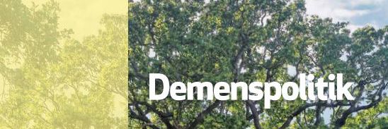 Foto af forsiden af Demenspolitikken