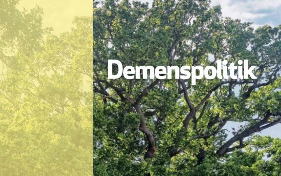 Foto af forsiden af Demenspolitikken